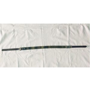 Αορτήρας ελαστικός