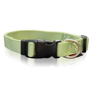 Οδηγός σκύλου ιμάντας DOG COLLAR PLAIN-LIME L 2.5 X 47-70CM