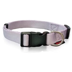Οδηγός σκύλου ιμάντας DOG COLLAR PLAIN-LILAC L 2.5 X 47-70CM